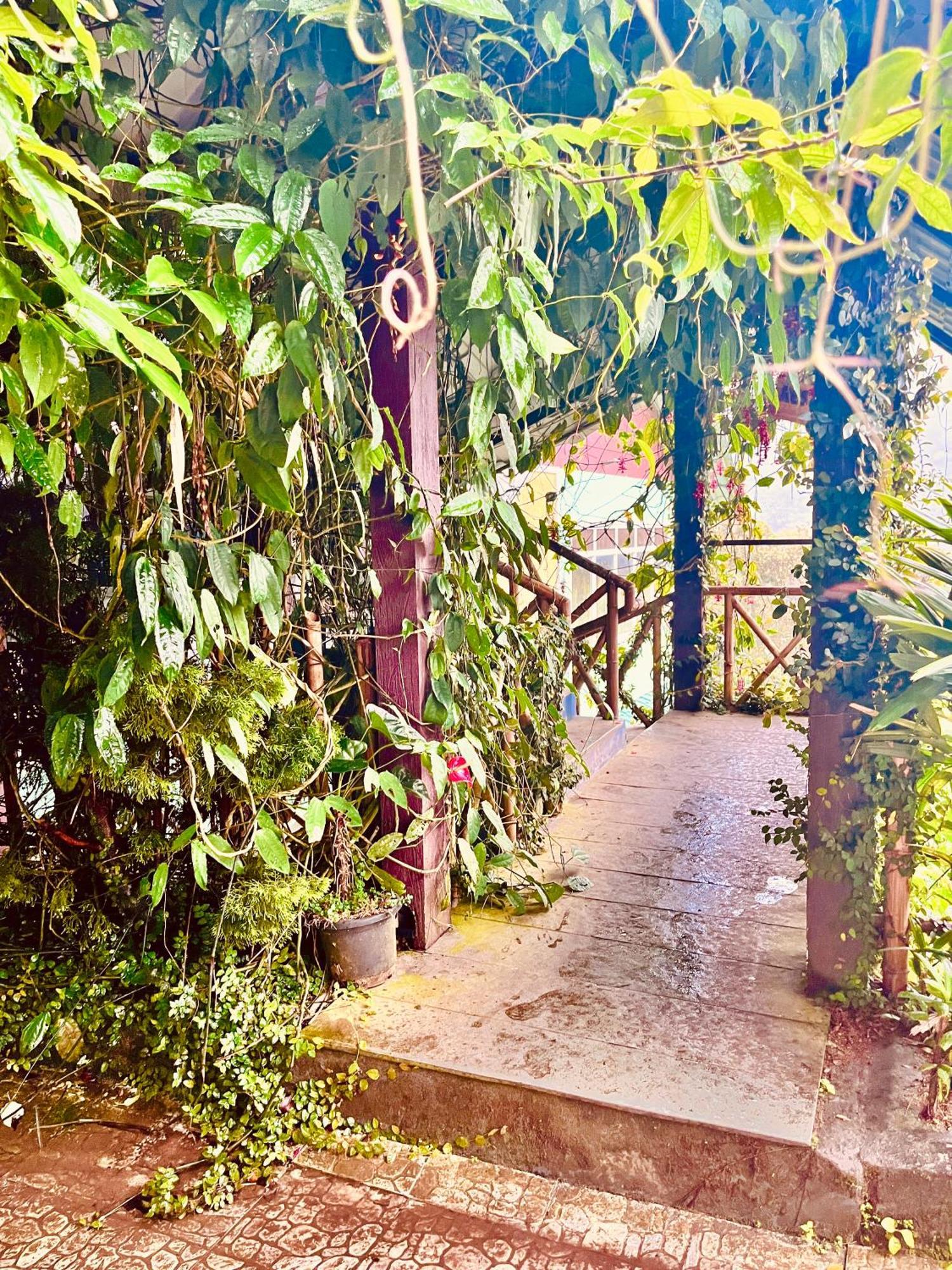 Munnar Tea Estate Cottage And Resort - Away From City Hustle Ngoại thất bức ảnh